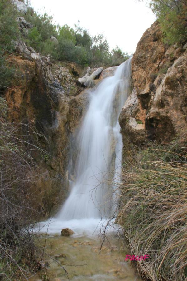 AguasBlanquillas Coto Rios Luaran gambar