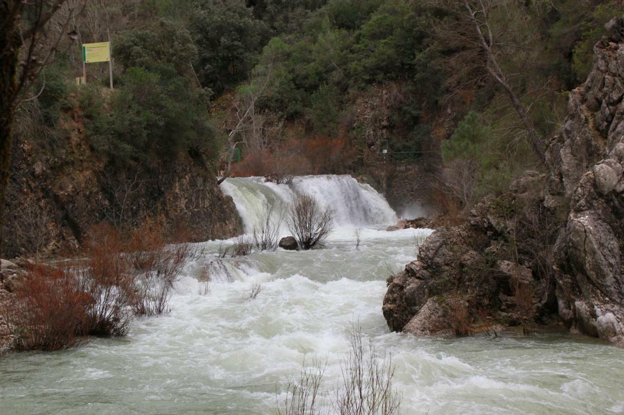AguasBlanquillas Coto Rios Luaran gambar