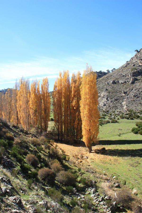 AguasBlanquillas Coto Rios Luaran gambar
