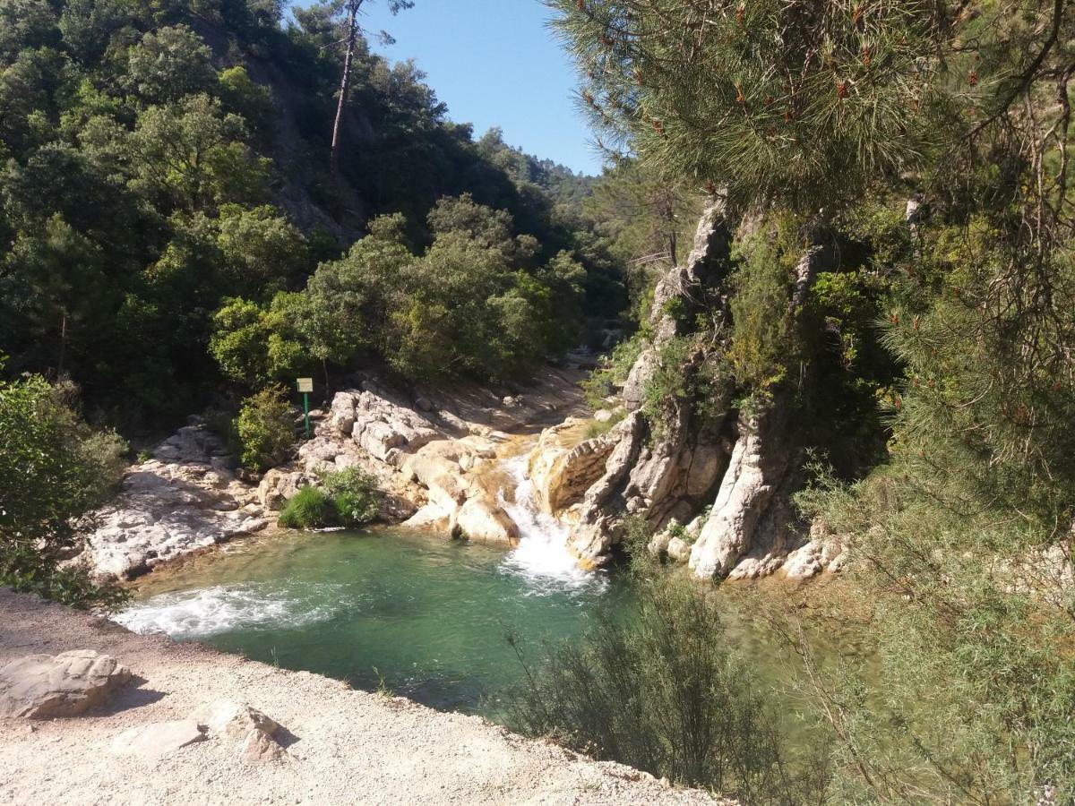 AguasBlanquillas Coto Rios Luaran gambar